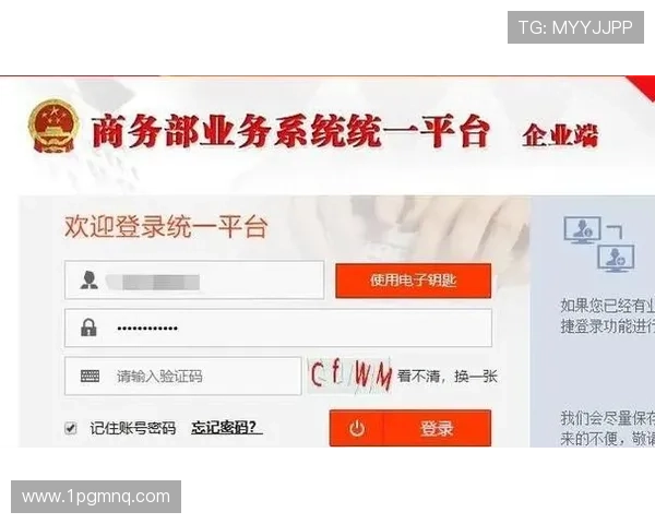 安信2官网登录：轻松访问安全金融服务平台