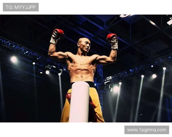 一龙的第一场比赛：拳坛新星的崛起与挑战